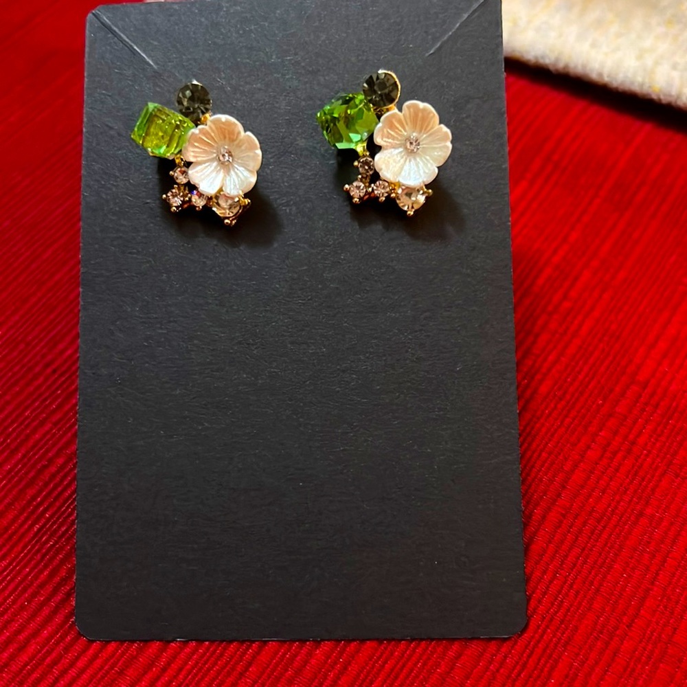 Earrings